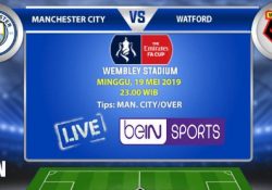 review of MANCHESTER CITY VS WATFORD